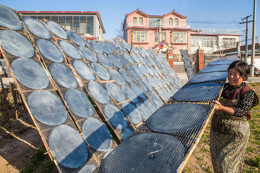 見過傳統(tǒng)技法做粉皮嗎？隨鏡頭走進豫東農(nóng)村看看吧